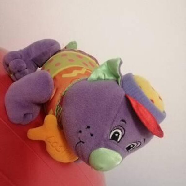 cica csörgő 2000ft