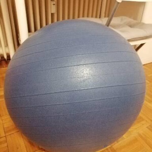 gimnasztikai labda 65 cm 3500ft