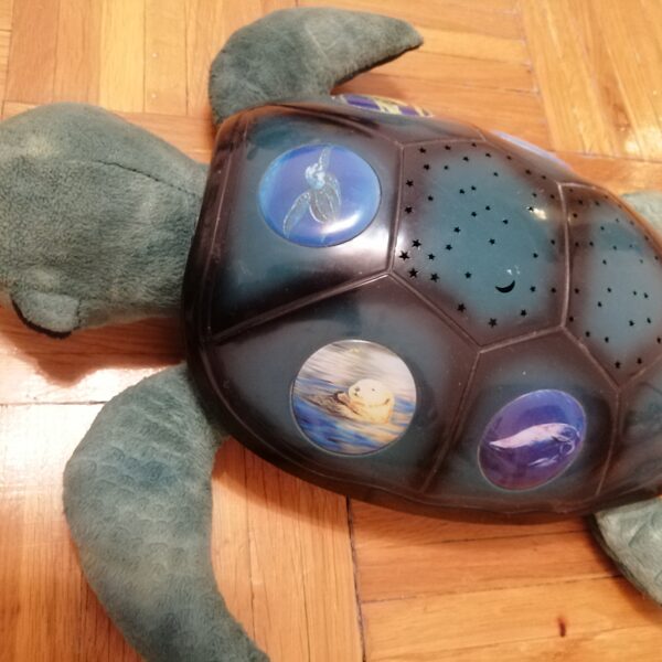 csillagvetítő teknős 3500ft